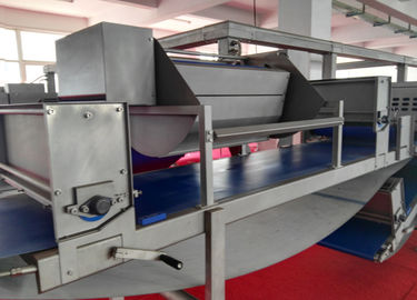Il Plc controlla la macchina del rullo della pasta di pasticceria con una larghezza di lavoro di 750 millimetri fornitore