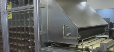 Ciambella che fa attrezzatura, macchina industriale della ciambella per pane/ciambella del lievito fornitore